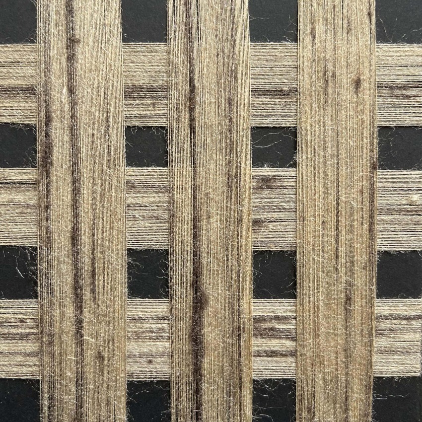 Bengala Silk (Tussar Silk 100%) - Davifil